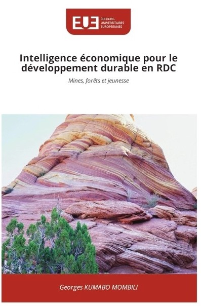 Intelligence économique pour le développement durable en RDC